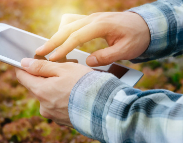 We are a leading environmental and transportation consultancy